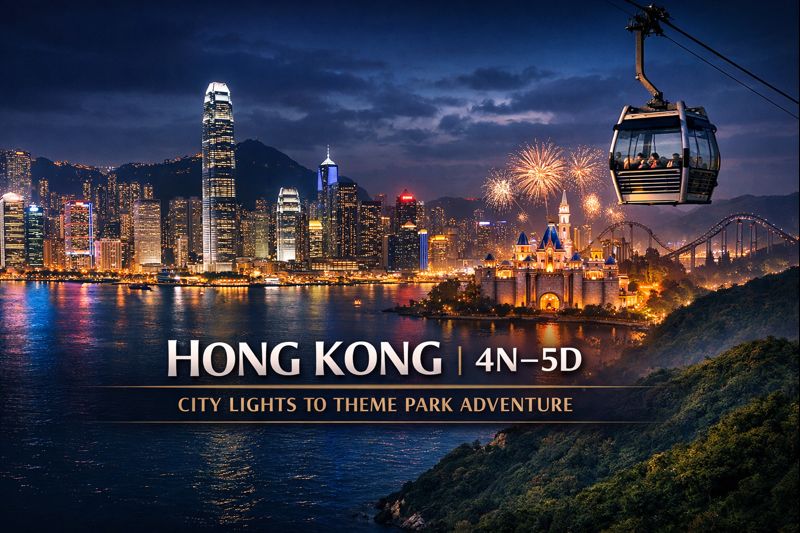 City Lights To Theme Park Adventure