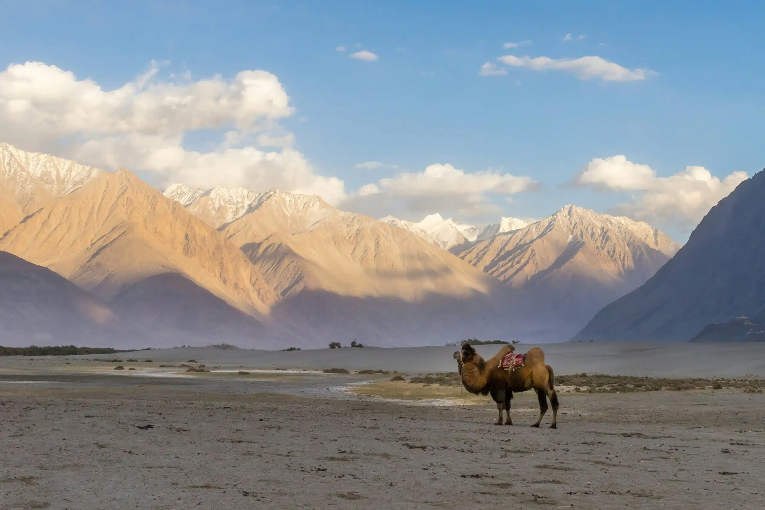 8 Days in Leh Ladakh with Turtuk and Hanle