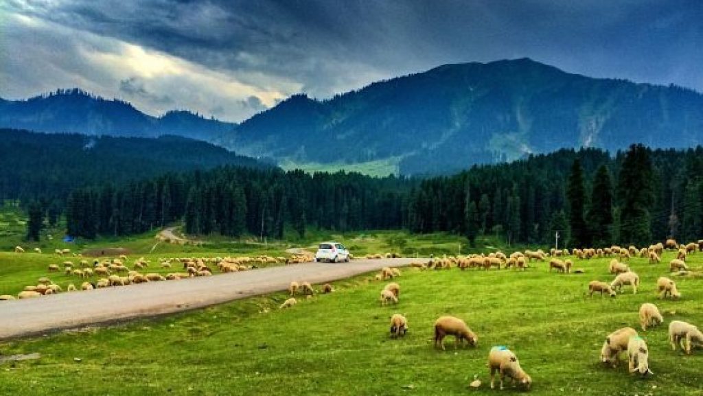 8 Days in Leh Ladakh with Tsomoriri Lake