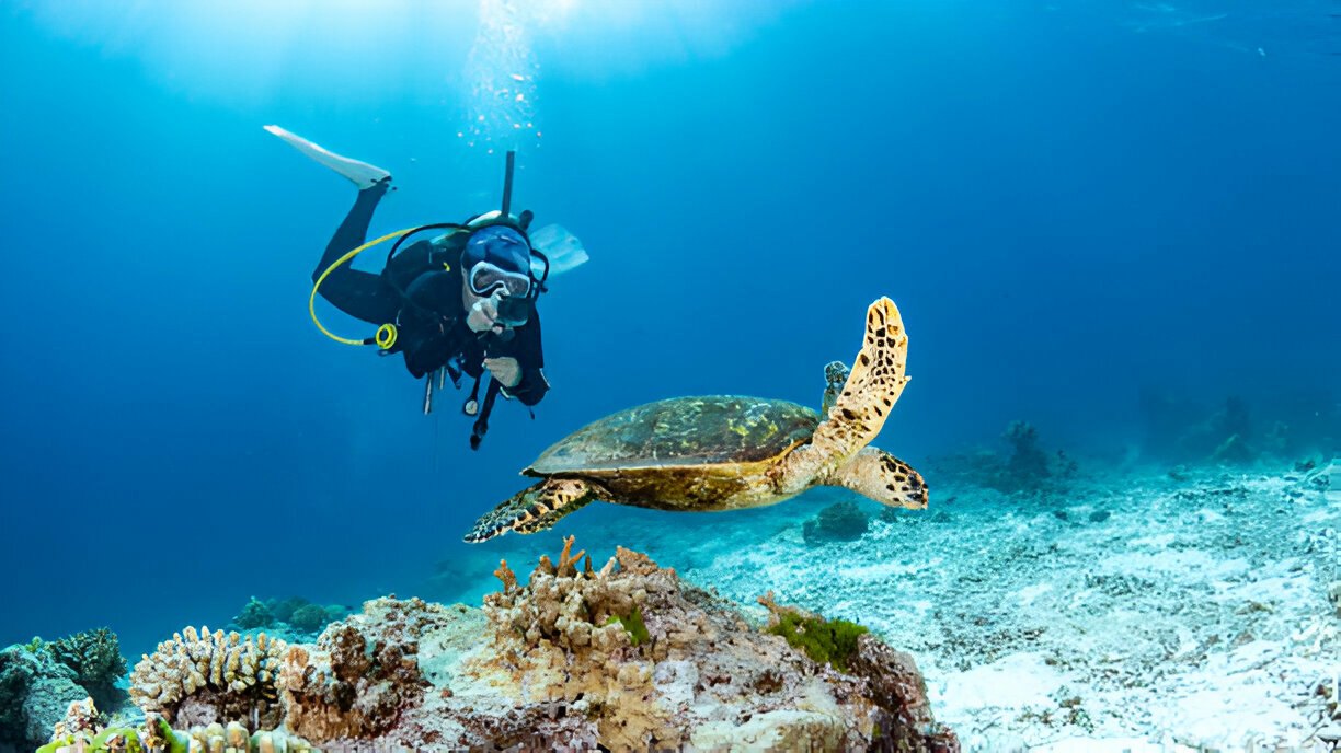Grand Island Explorer · Port Blair – Havelock – Neil Island – Baratang